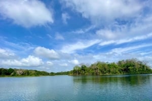 Expedição de Safari pela Vida Selvagem do Lago Gatun num passeio de barco