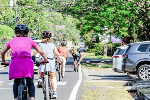 Guided E-bike Tour: Discovering El Valle de Anton