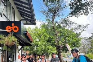 Guided E-bike Tour: Discovering El Valle de Anton