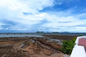 Visita guiada ao Casco Viejo e ao Canal do Panamá