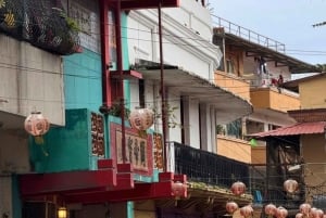 Half-Day Casco Viejo Tour: The Real City with a Local Touch