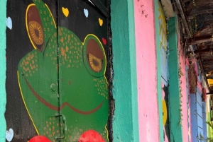 Half-Day Casco Viejo Tour: The Real City with a Local Touch