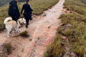 Hiking Adventure in El Valle de Antón – From Panama City