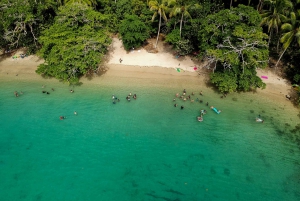Historico Portobelo y Venas Azules