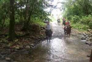 Ridning i djungeln nära Panama City