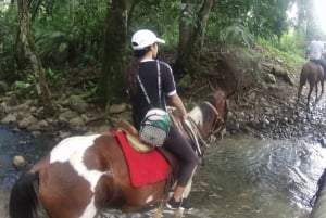 Paardrijden in de jungle bij Panama City