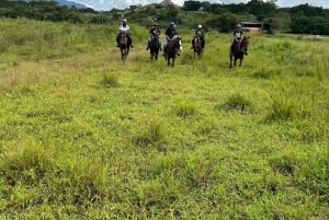 Horseback Riding in the jungle near Panama City