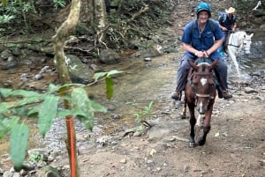 Horseback Riding in the jungle near Panama City