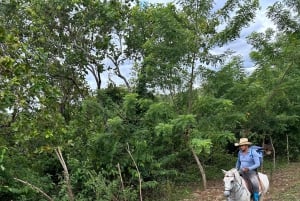 Horseback Riding in the jungle near Panama City