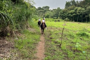 Horseback Riding in the jungle near Panama City