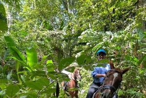 Horseback Riding in the jungle near Panama City