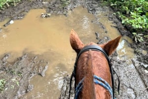 Horseback Riding in the jungle near Panama City