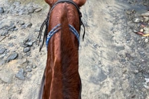 Horseback Riding in the jungle near Panama City