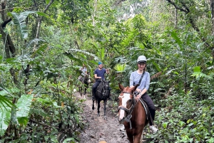 Horseback Riding in the jungle near Panama City