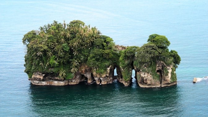 Isla Pajaros - Bird Island