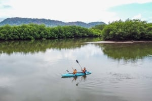 Kayak tour in the mangroves of David, Chiriquí