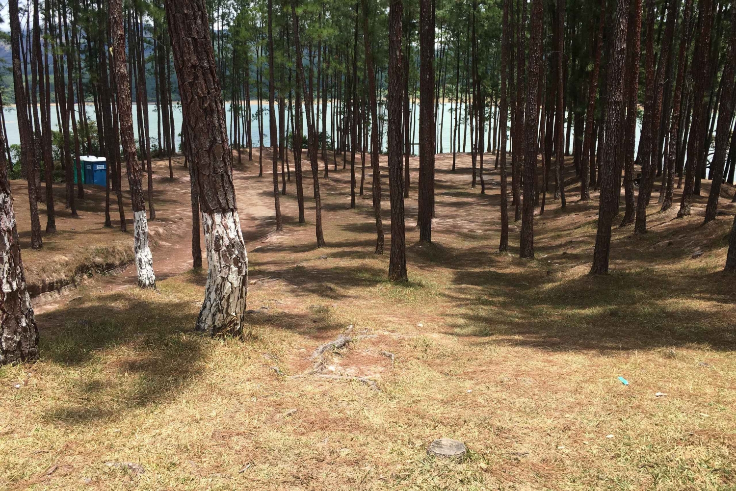 La Yeguada Forest Reserve Tour; Waterfalls near the Protected Area.