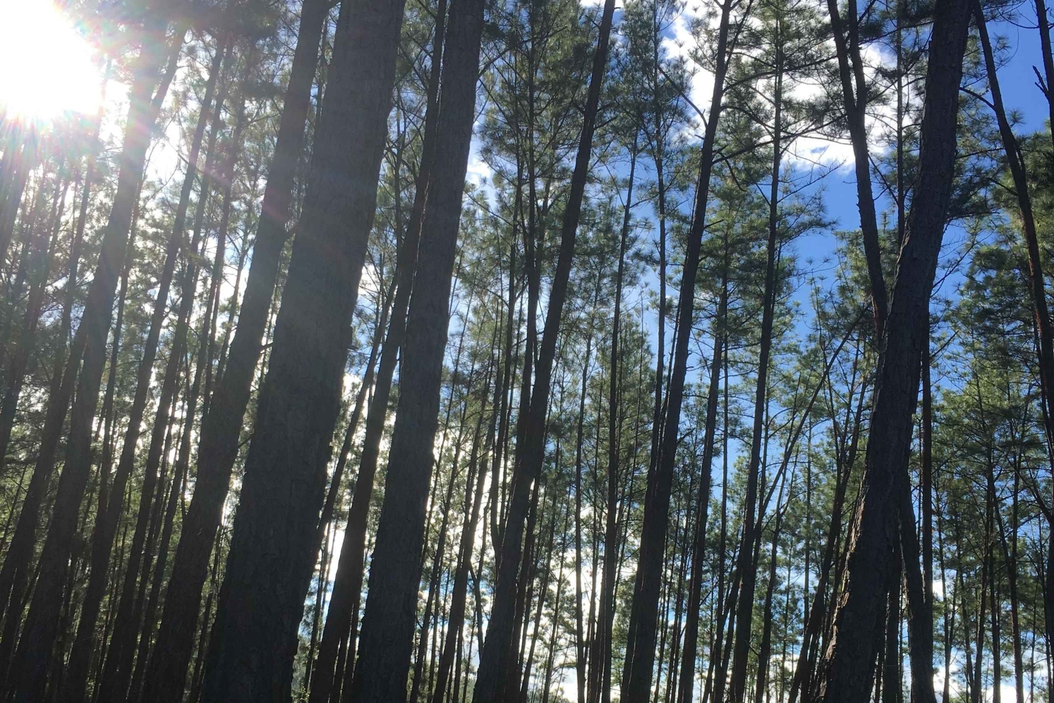 La Yeguada Forest Reserve Tour; Waterfalls near the Protected Area.