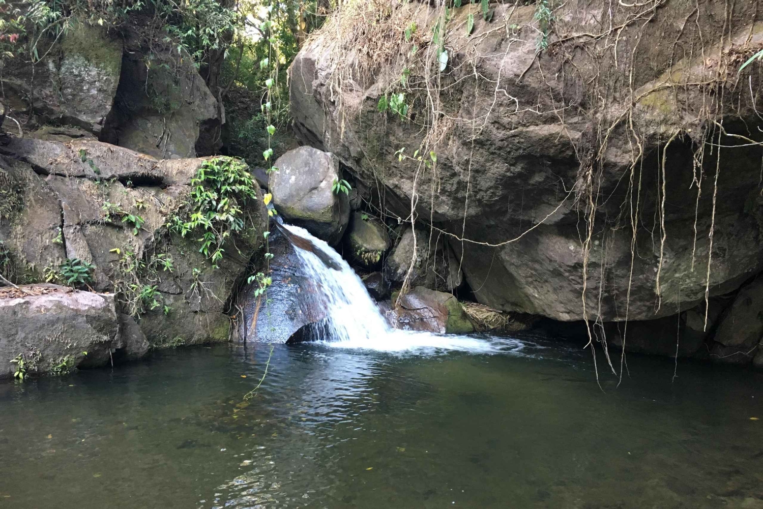 La Yeguada Forest Reserve Tour; Waterfalls near the Protected Area.