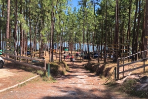La Yeguada Forest Reserve Tour; Waterfalls near the Protected Area.