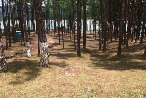 La Yeguada Forest Reserve Tour; Waterfalls near the Protected Area.