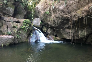 La Yeguada Forest Reserve Tour; Waterfalls near the Protected Area.