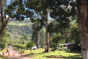 La Yeguada Forest Reserve Tour; Waterfalls near the Protected Area.