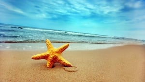 Las Estrellas Beach 
