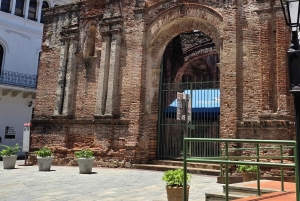 Layover Panama City Tour & Pedro Miguel Canal Locks