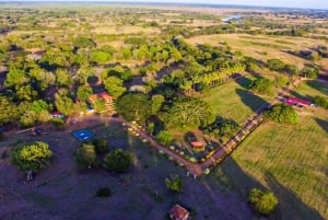 Los Santos, Panamá: Tour guiado en Finca Pamel