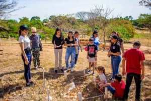 Los Santos, Panama: Guidad tur på Finca Pamel