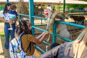 Los Santos, Panama: Guidet omvisning på Finca Pamel