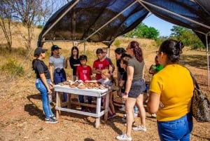 Los Santos, Panama: Rondleiding bij Finca Pamel