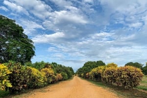 Los Santos, Panamá: Tour guiado en Finca Pamel