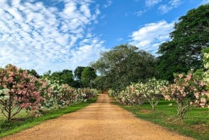 Los Santos, Panama: Rondleiding bij Finca Pamel