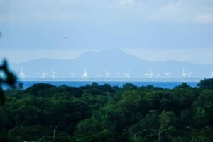 Los Santos, Panama: Guidet tur på Finca Pamel