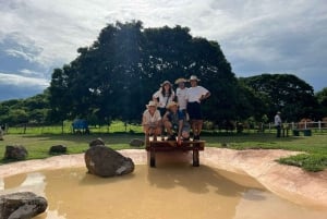 Los Santos, Panama : Visite guidée à la Finca Pamel