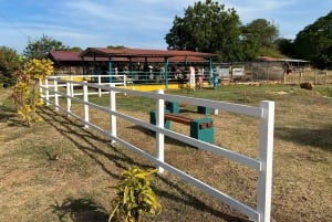 Los Santos, Panama: Guidad tur på Finca Pamel