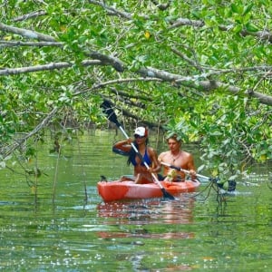 Mangrove exploration, local cattle farm, casa de quincha, folk events and Isla Cana tours