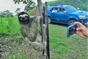 Excursão de um dia para o Money Heist San Blas - 3 ilhas + piscina natural