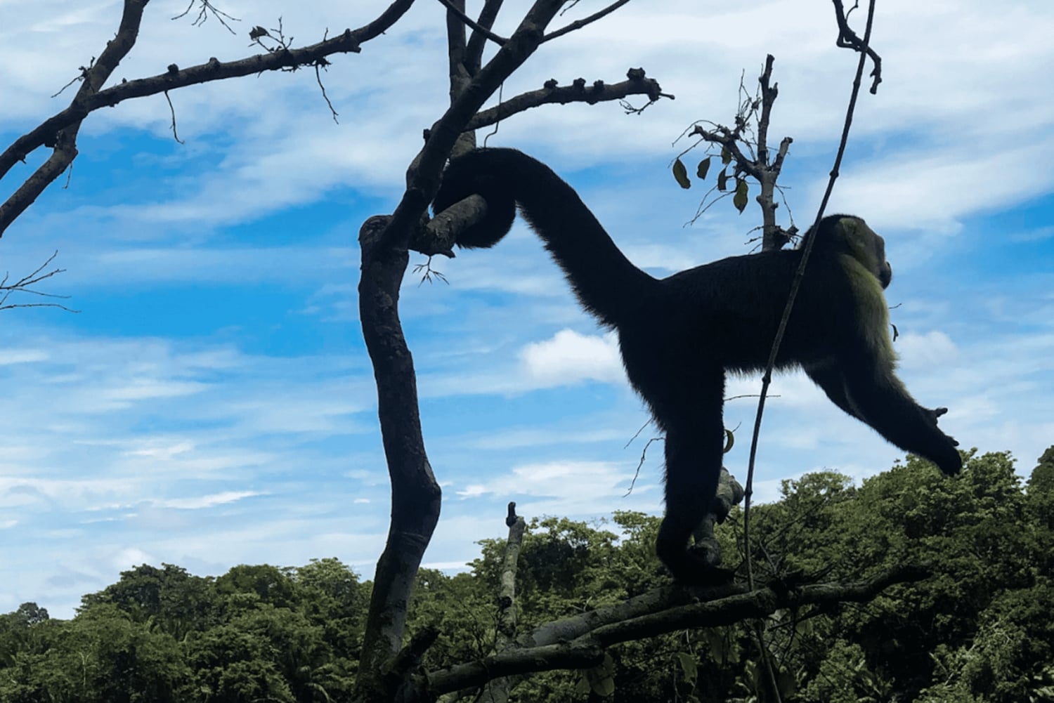 Äventyr på Monkey Island