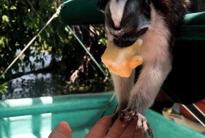 Äventyr på Monkey Island