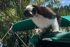 Äventyr på Monkey Island