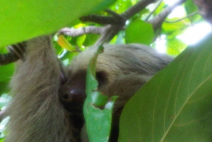 Monkey Island and Indian Village Tour