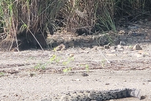 Monkey Island and Indian Village Tour