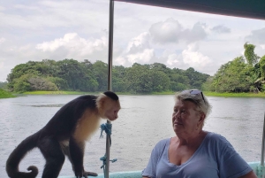 Monkey Island and Indian Village Tour