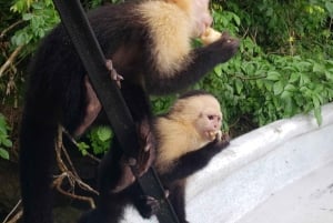 Monkey Island and Indian Village Tour