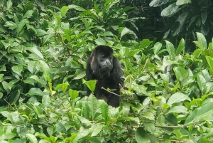 Monkey Island and Indian Village Tour