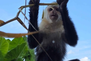 Monkey Island and Indian Village Tour