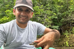 Île des singes et canal de Panama